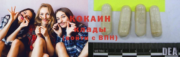 mdpv Каменка