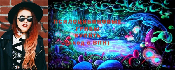 таблы Каменногорск