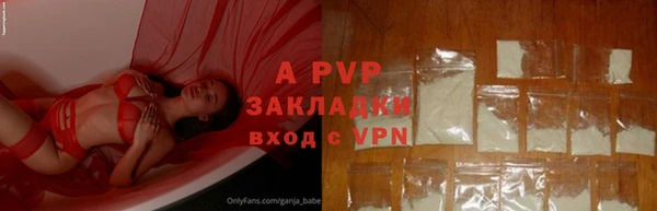 Альфа ПВП Инсар