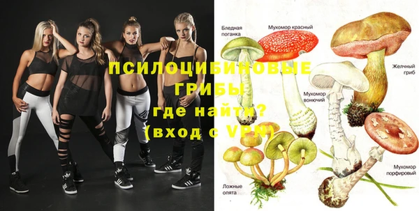 mdpv Каменка