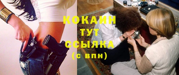 mdpv Каменка