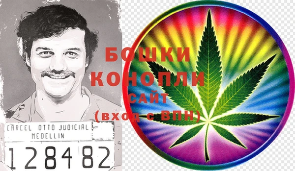 mdpv Каменка