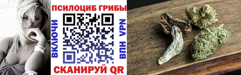 Псилоцибиновые грибы MAGIC MUSHROOMS  блэк спрут ONION  Кувшиново 
